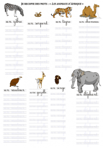 Aperçu de la fiche de français : Les animaux d'Afrique et animaux sauvages — visuel 1 sur 2