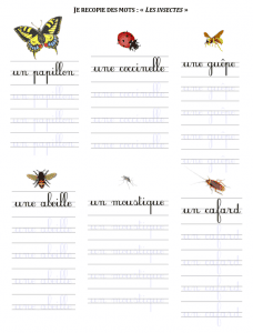 Aperçu de la fiche de français : Lecture et écriture : les insectes et autres petites bêtes — visuel 2 sur 2