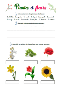 Plantes et fleurs (vignette)