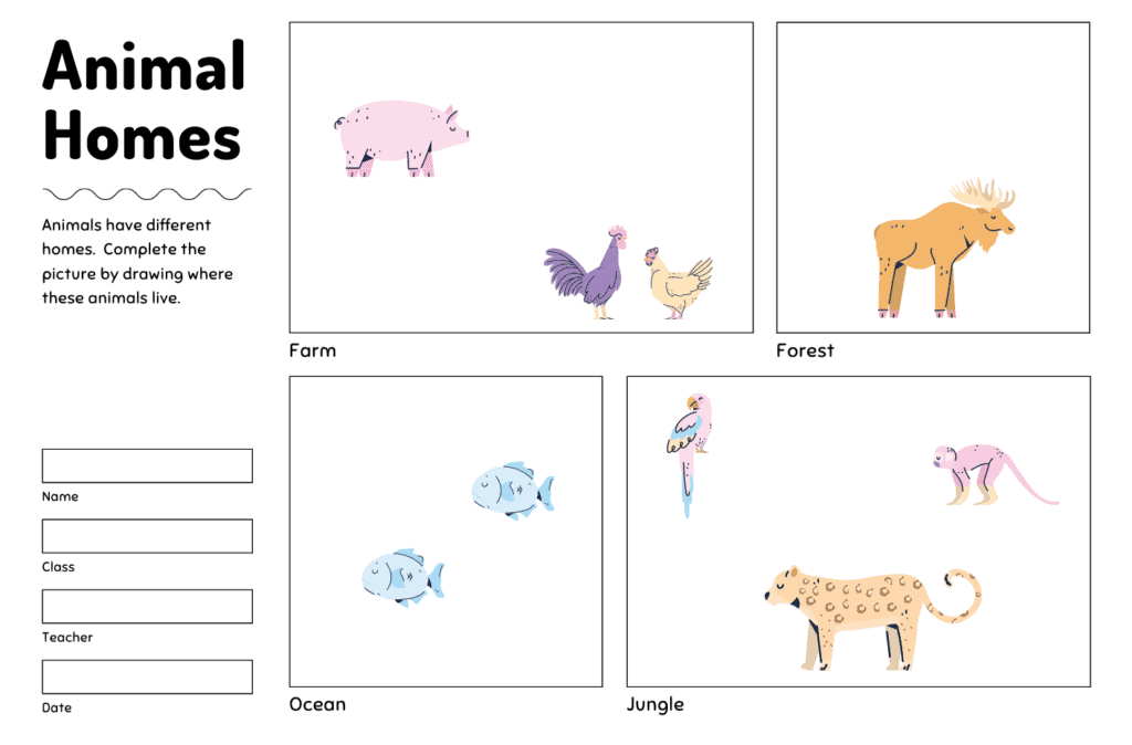 Anglais (initiation) : dessiner l’habitat des animaux (Animal Homes)