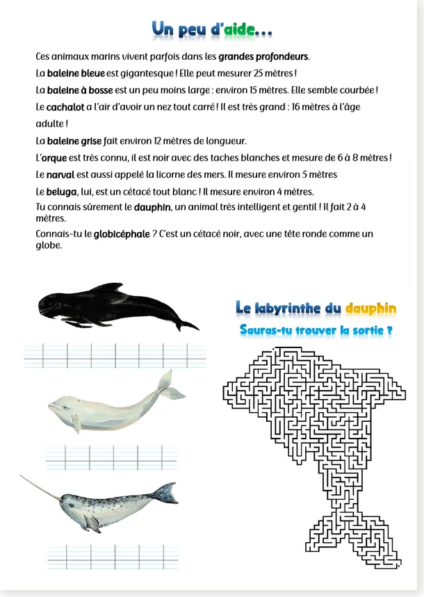 Cétacés et labyrinthe dauphin CE1