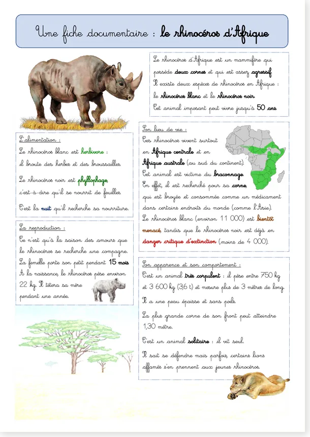 Fiche documentaire rhinocéros d'Afrique CE1
