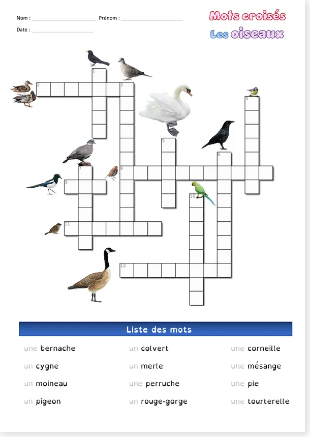 Mots croisés oiseaux CE1