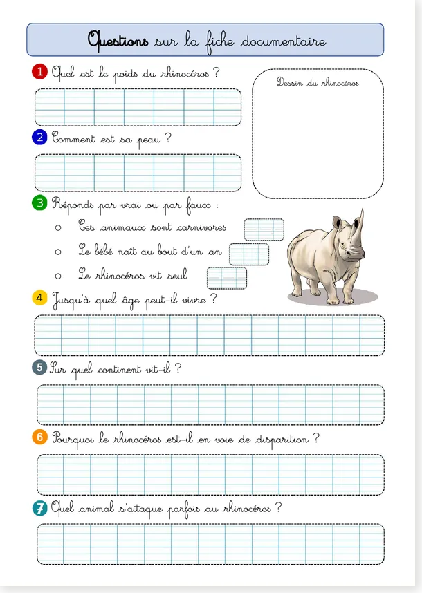 Questions rhinocéros d'Afrique CE1