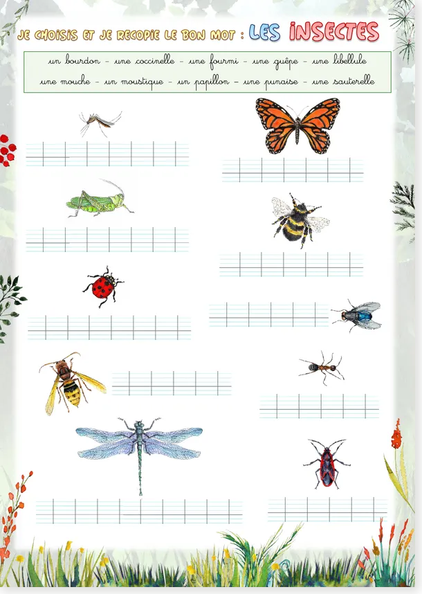 Recopier les mots insectes CE1