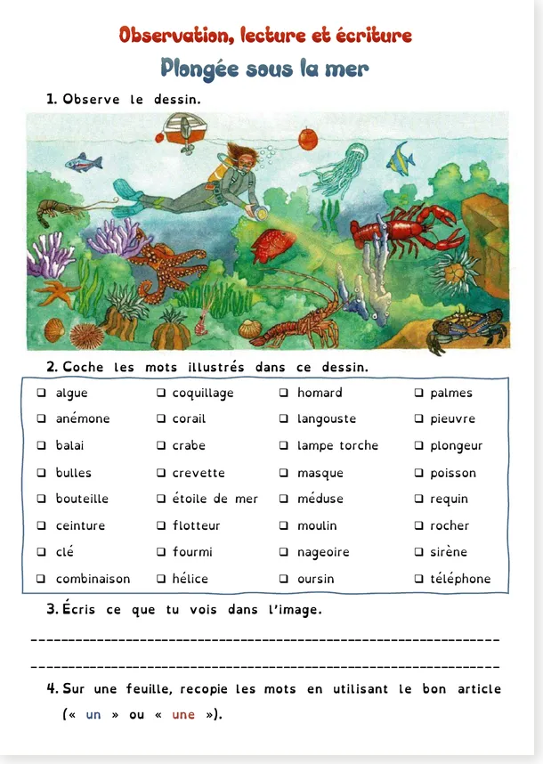 Vocabulaire plongée sous la mer CE1