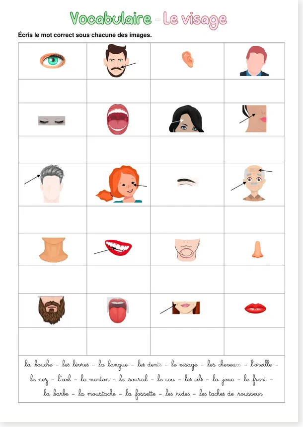 Vocabulaire visage CE1