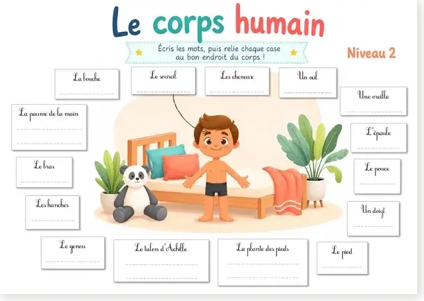 Exercice parties du corps niveau 2 à imprimer