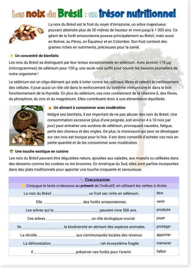 Les noix du Brésil un trésor nutritionnel page 1