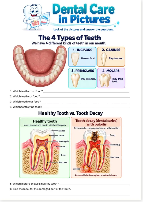 Dental care : Prendre soin de ses dents en images